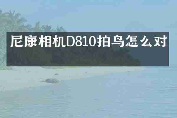 尼康相机D810拍鸟怎么对焦