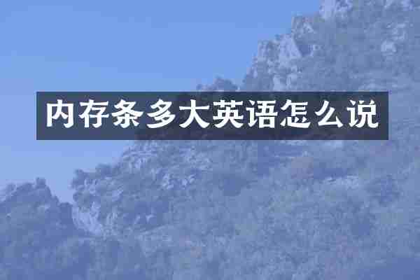 内存条多大英语怎么说