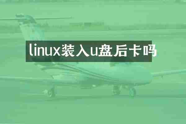 linux装入u盘后卡吗