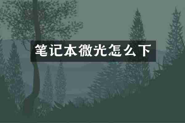 笔记本微光怎么下