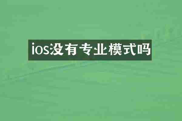 ios没有专业模式吗