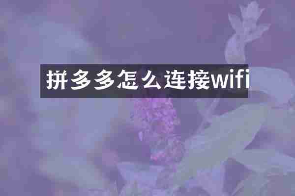 拼多多怎么连接wifi
