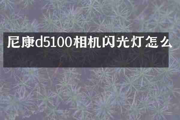 尼康d5100相机闪光灯怎么开