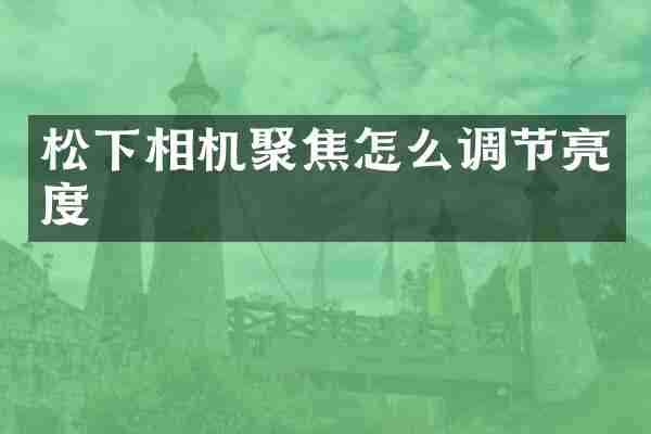 松下相机聚焦怎么调节亮度