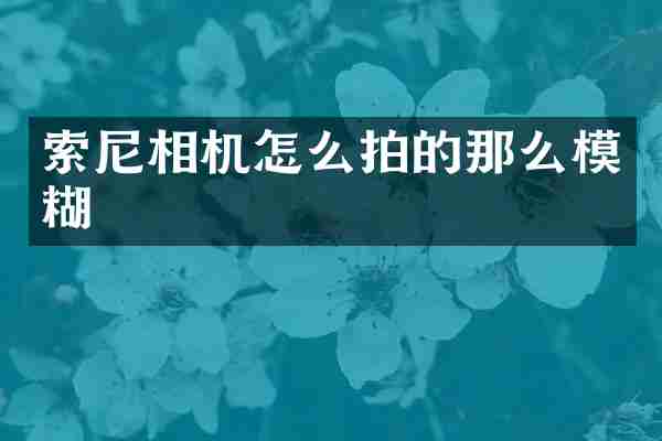 索尼相机怎么拍的那么模糊