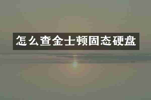 怎么查金士顿固态硬盘