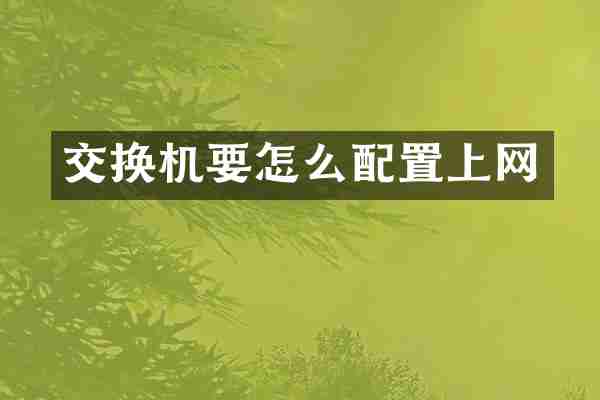 交换机要怎么配置上网