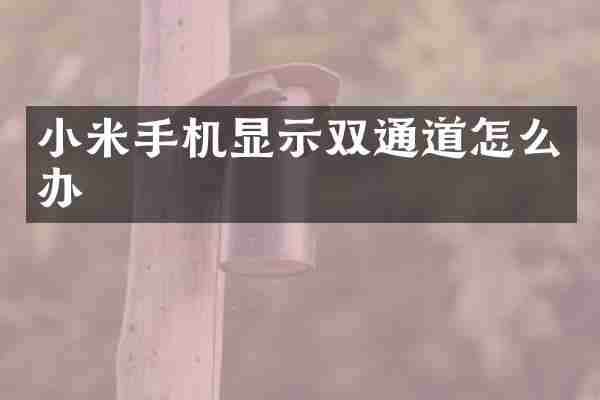 小米手机显示双通道怎么办