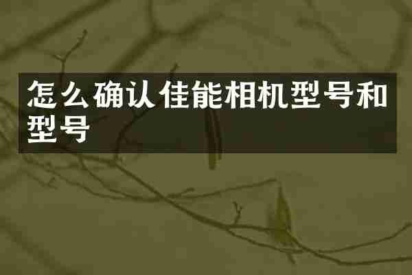 怎么确认佳能相机型号和型号
