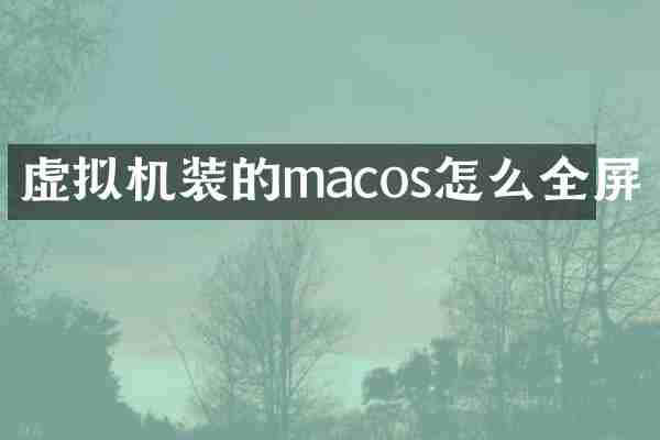 虚拟机装的macos怎么全屏