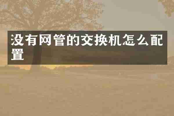 没有网管的交换机怎么配置