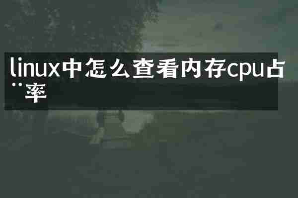 linux中怎么查看内存cpu占用率