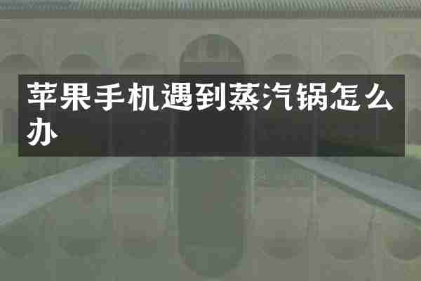 苹果手机遇到蒸汽锅怎么办