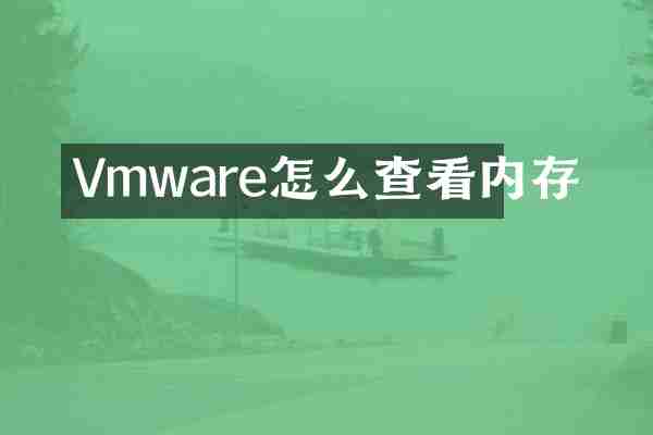 Vmware怎么查看内存