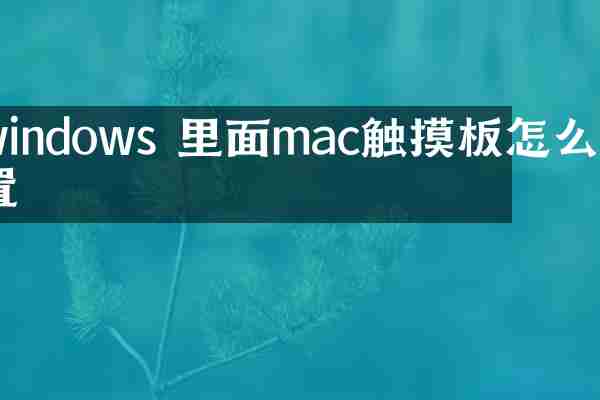 windows 里面mac触摸板怎么设置