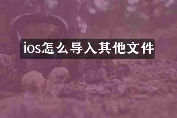 ios怎么导入其他文件