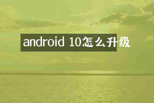 android 10怎么升级