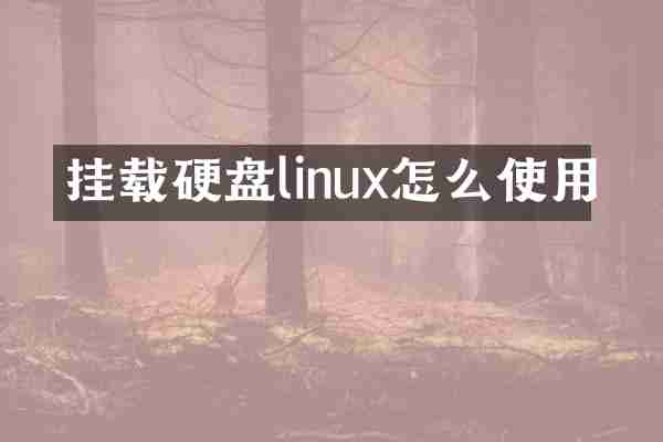 挂载硬盘linux怎么使用