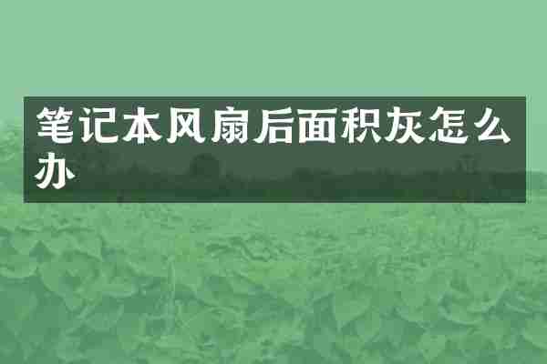 笔记本风扇后面积灰怎么办