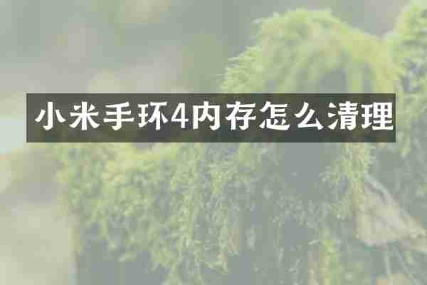 小米手环4内存怎么清理