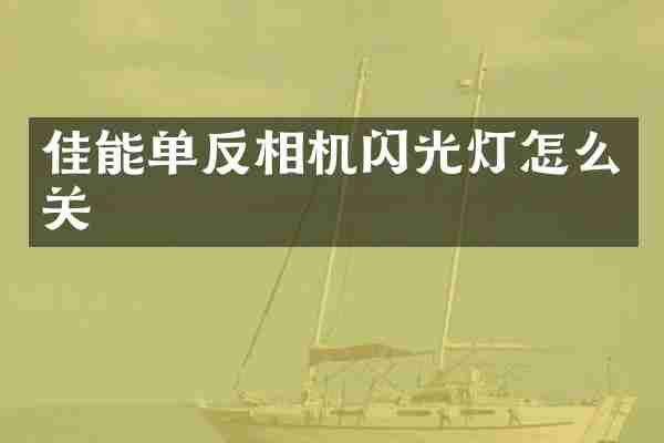 佳能单反相机闪光灯怎么关