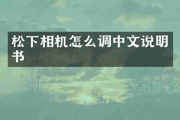 松下相机怎么调中文说明书