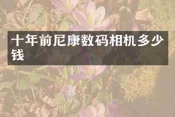 十年前尼康数码相机多少钱