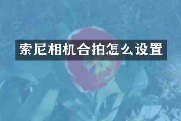 索尼相机合拍怎么设置