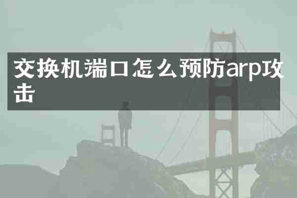 交换机端口怎么预防arp攻击