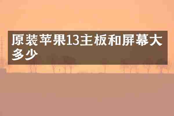 原装苹果13主板和屏幕大概多少