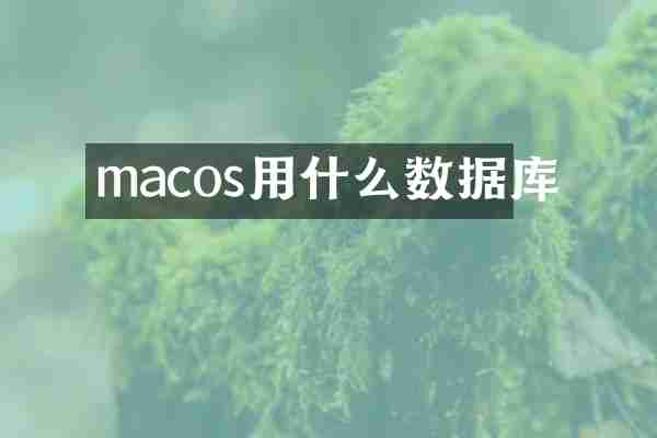 macos用什么数据库