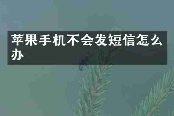 苹果手机不会发短信怎么办