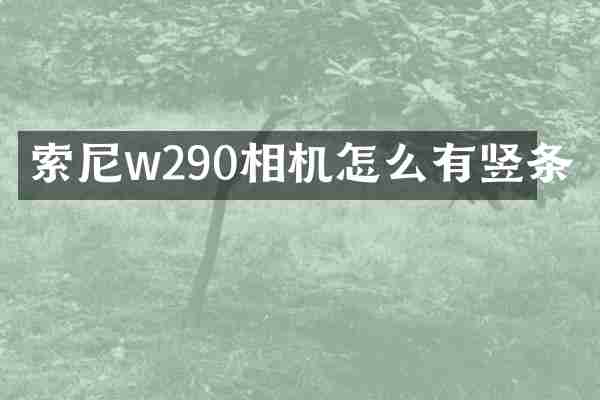 索尼w290相机怎么有竖条