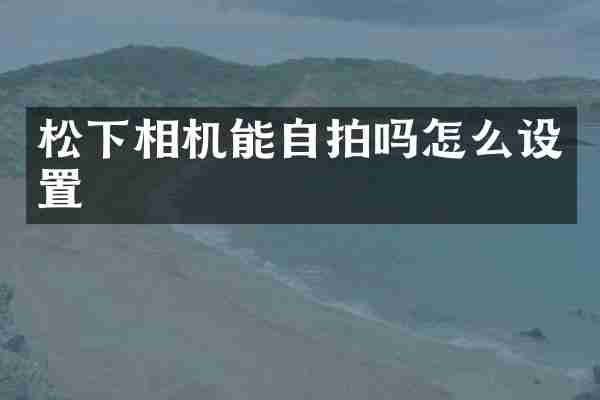 松下相机能自拍吗怎么设置