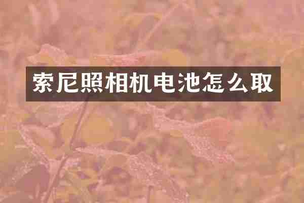索尼照相机电池怎么取