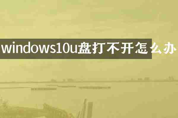 windows10u盘打不开怎么办