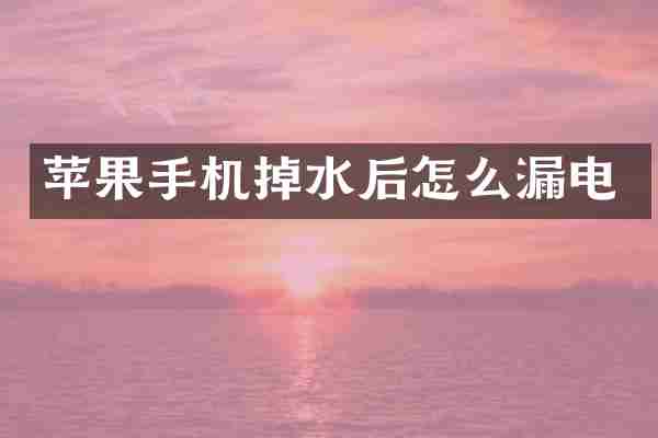 苹果手机掉水后怎么漏电