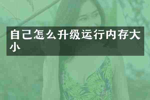 自己怎么升级运行内存大小