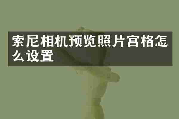 索尼相机预览照片宫格怎么设置