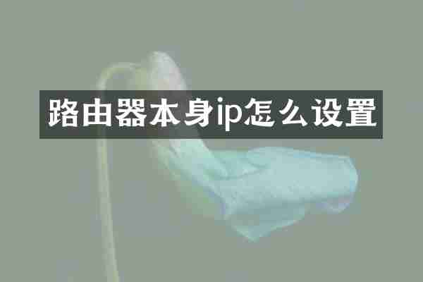 路由器本身ip怎么设置