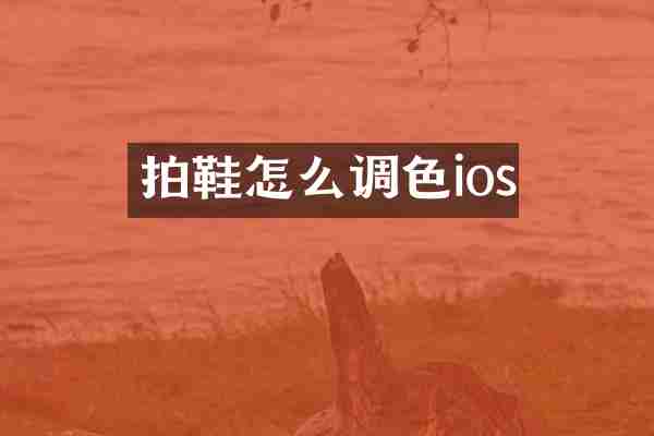 拍鞋怎么调色ios