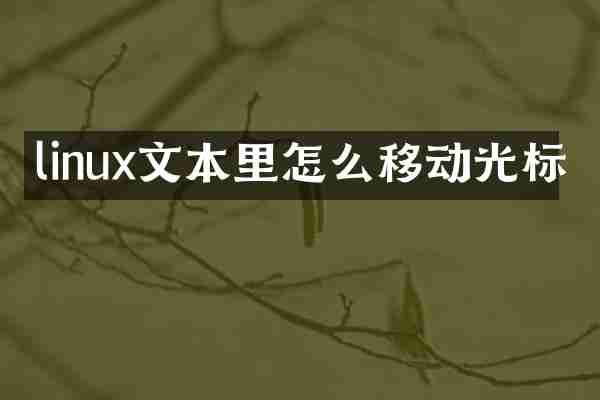 linux文本里怎么移动光标