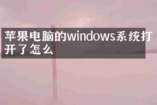 苹果电脑的windows系统打不开了怎么