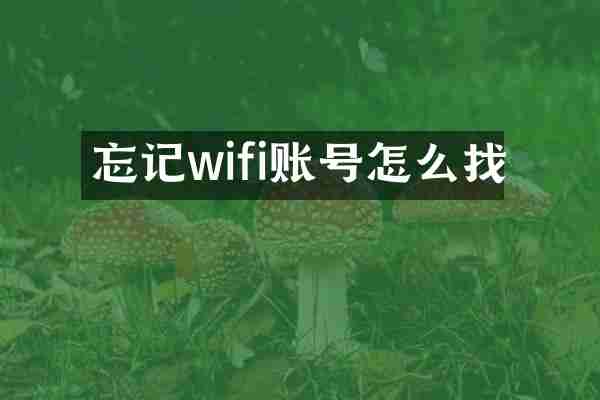 忘记wifi账号怎么找