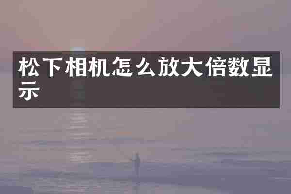 松下相机怎么放大倍数显示