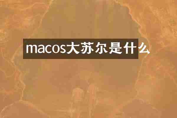 macos大苏尔是什么