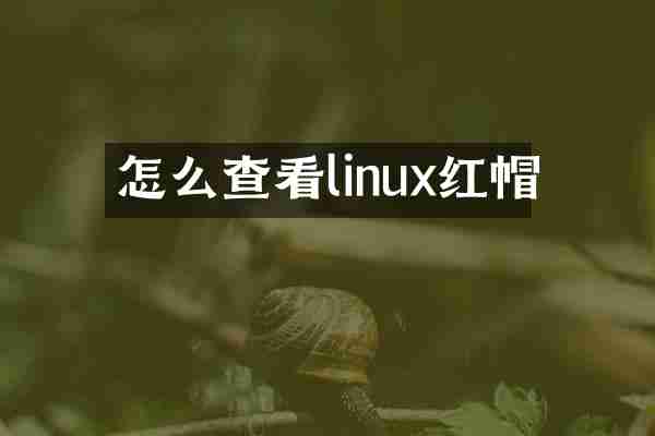 怎么查看linux红帽