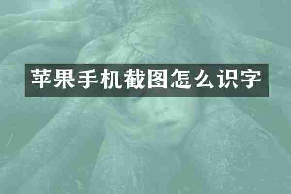 苹果手机截图怎么识字
