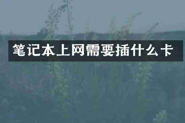 笔记本上网需要插什么卡
