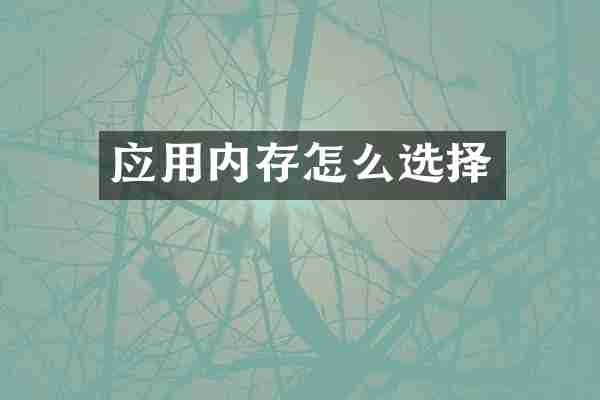 应用内存怎么选择